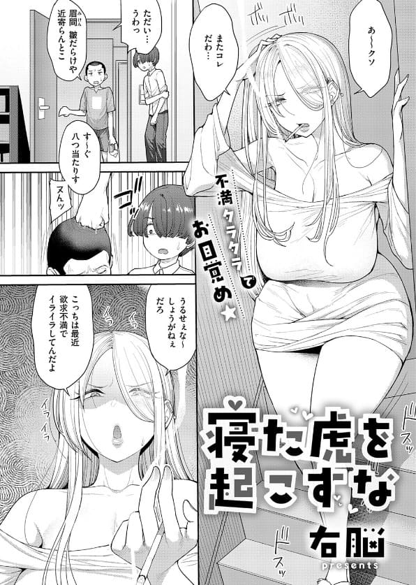 寝た虎を起こすな 右脳 サンプル2 白ギャルヤンママの寝込みを襲う息子の友達