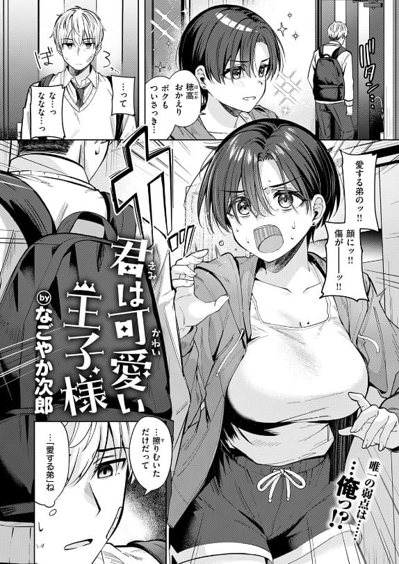 君は可愛い王子様 レビュー 義姉のギャップ萌えシーン